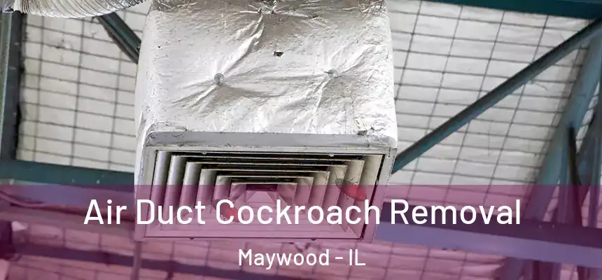  Air Duct Cockroach Removal Maywood - IL