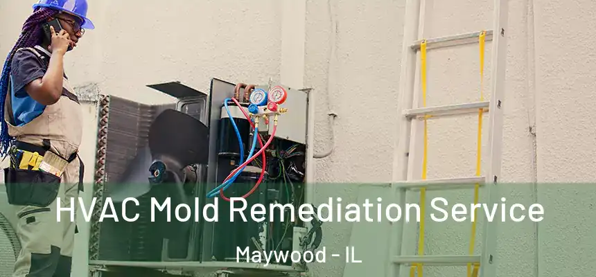 HVAC Mold Remediation Service Maywood - IL