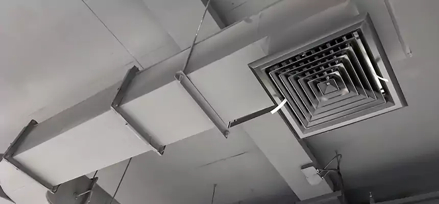 Restorative Allergy Relief Vent Cleaning – Coil, Blower & Housing Detail in Maywood