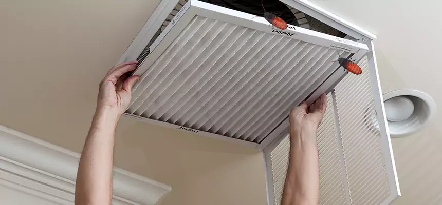 Our Insect Removal from Air Ducts Services in Maywood, IL