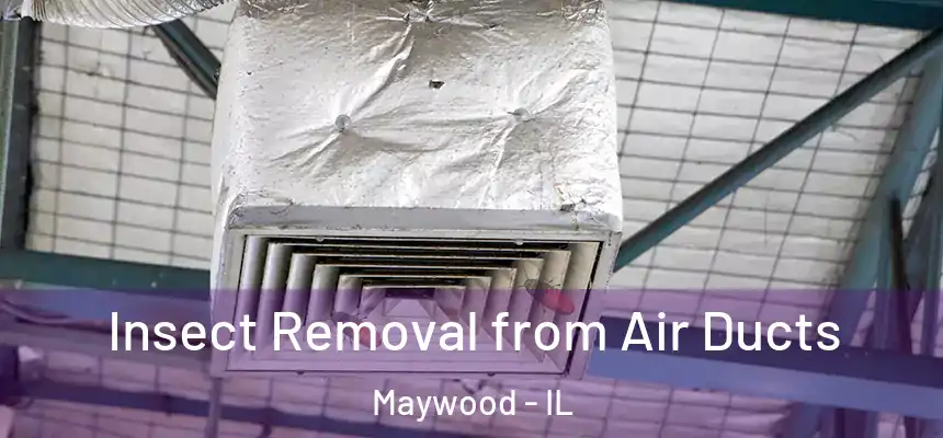  Insect Removal from Air Ducts Maywood - IL