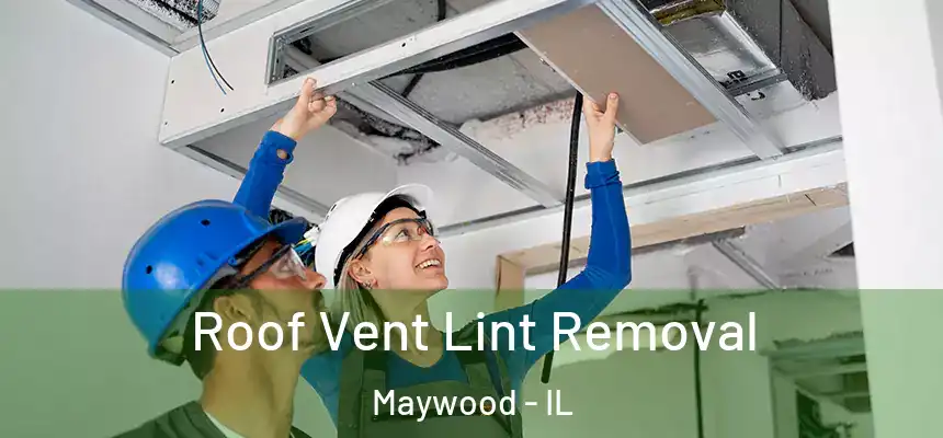 Roof Vent Lint Removal Maywood - IL