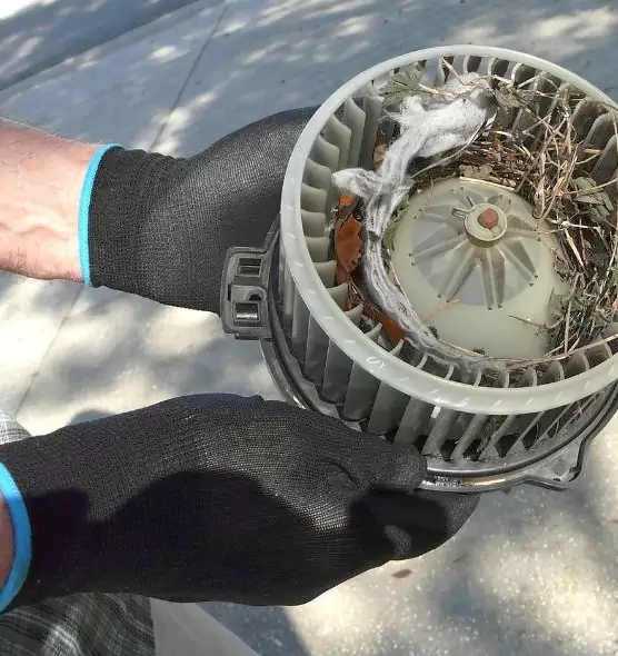 About Air Duct Mice Removal in Maywood, IL