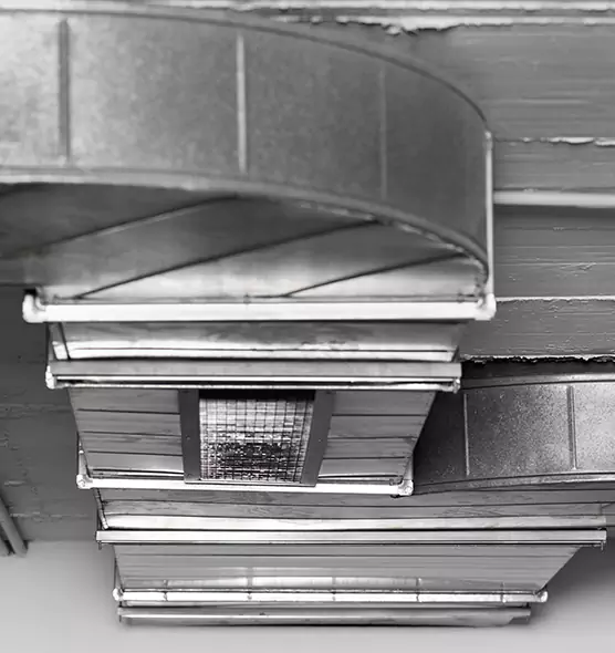 Professional Air Duct Pet Hair Removal in Maywood, IL