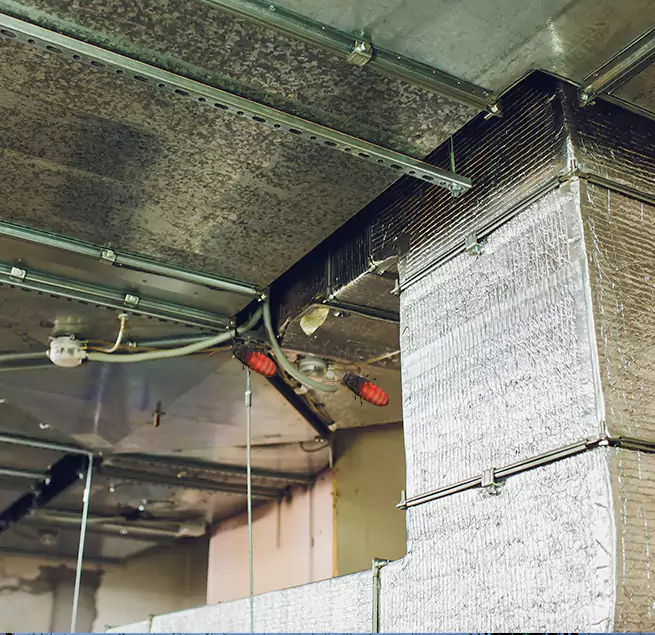 Why Homeowners & Businesses Trust Us in Maywood, IL?