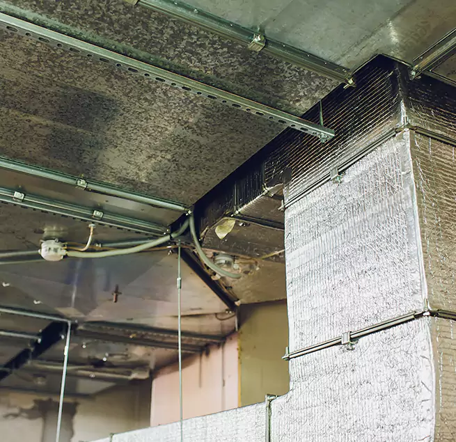 Why Homeowners & Businesses Trust Us in Maywood, IL?